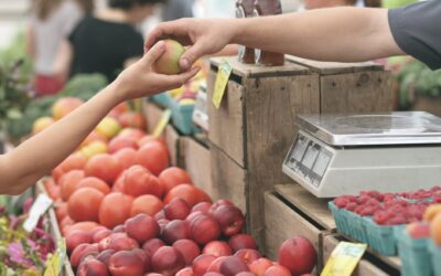 Informacija apie paskelbtą kvietimą Nr. 17